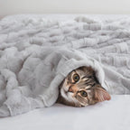 Vivienne Faux Fur Throw